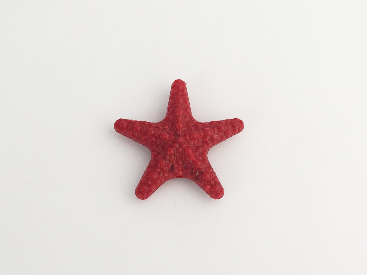 STELLA MARINA PLEXI MM.55 ROSSO CORA