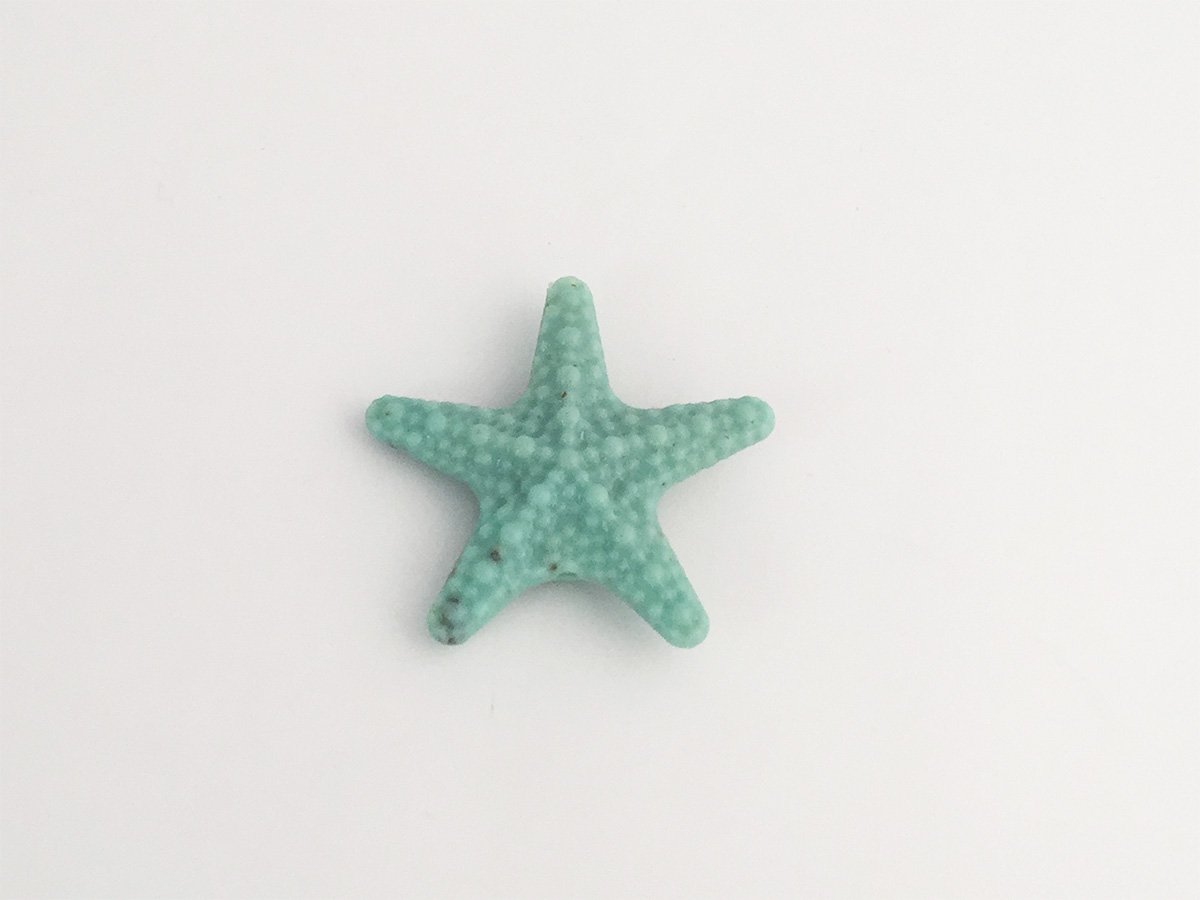 STELLA MARINA PLEXI MM.55 AQUAMARINE